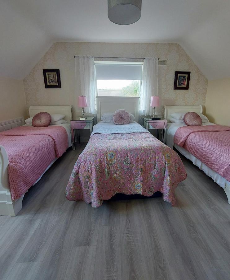 Brandon View House B&B Graiguenamanagh Екстер'єр фото