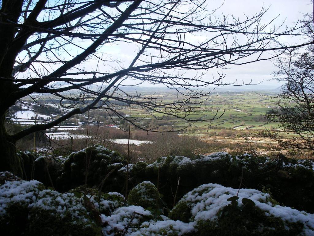Brandon View House B&B Graiguenamanagh Екстер'єр фото